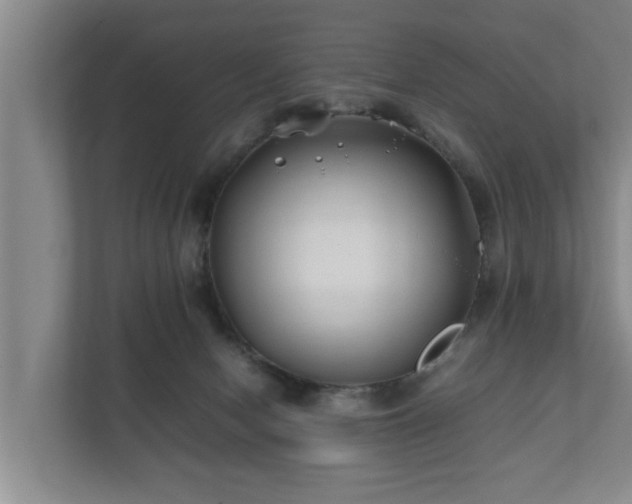 X0000112370078200908201510