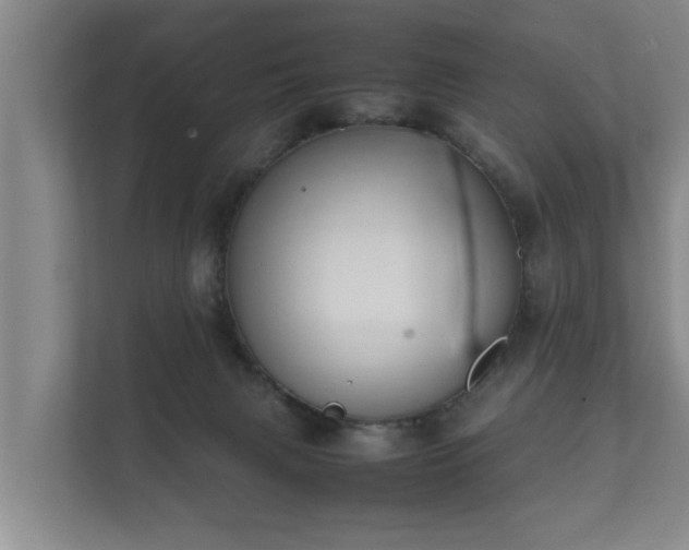 X0000112370079200908201510