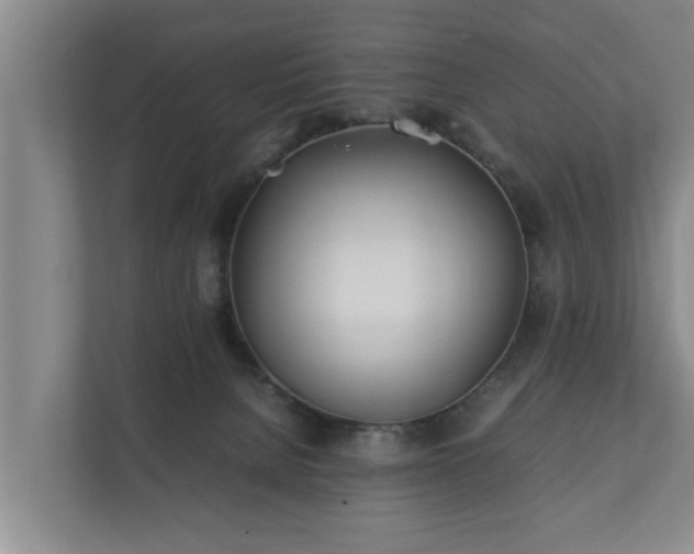 X0000112370080200908201510