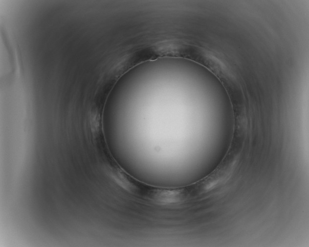 X0000112370081200908201511