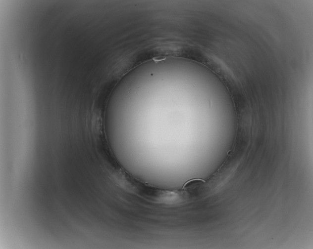 X0000112370083200908201511