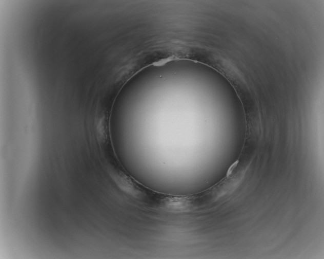 X0000112370088200908201511