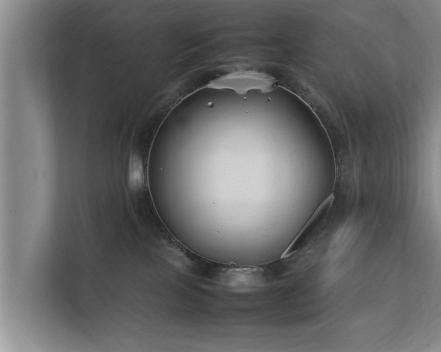 X0000112370089200908201511