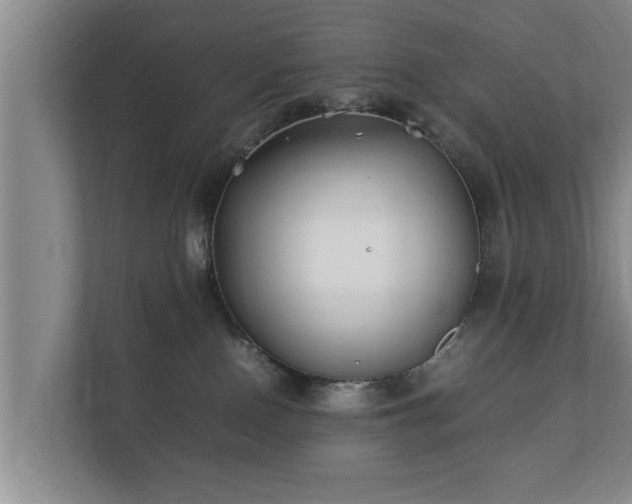 X0000112370090200908201511