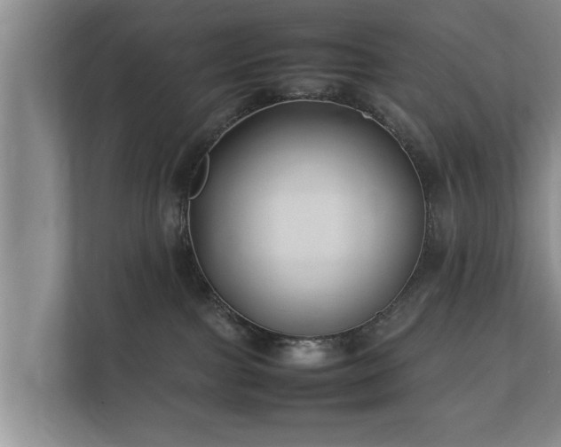 X0000112370091200908201511