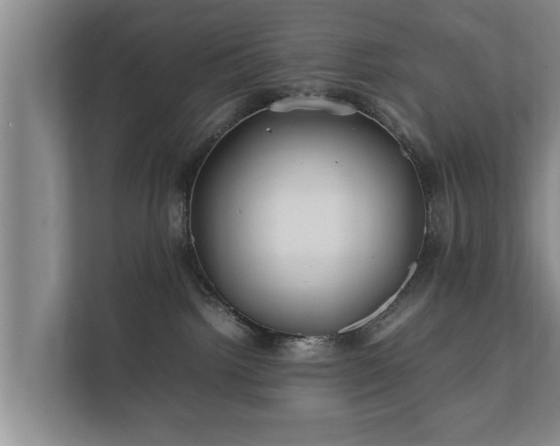 X0000112370092200908201511