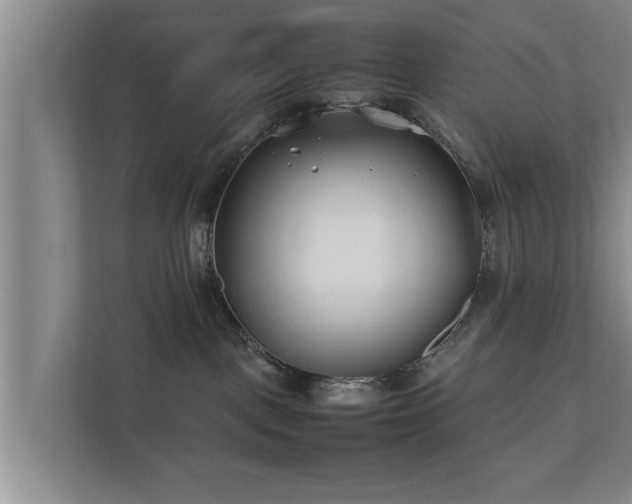 X0000112370093200908201511