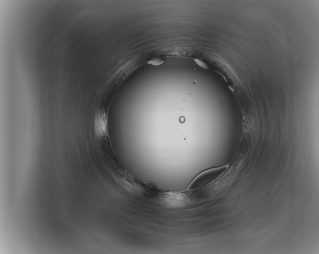 X0000112370095200908201511