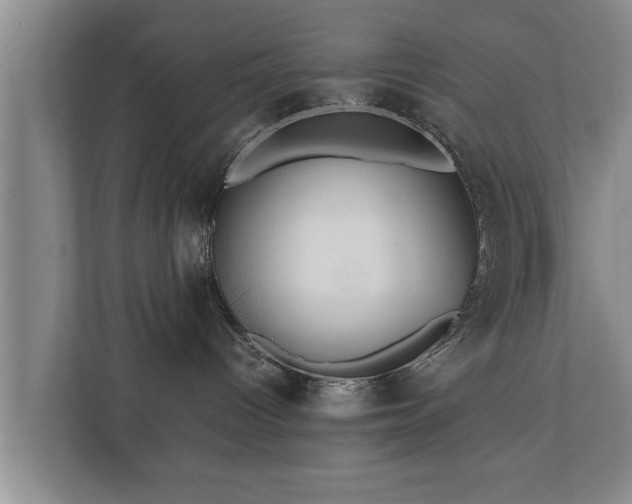 X0000112370096200908201511