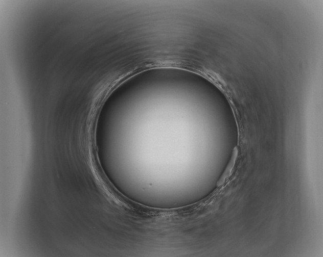 X0000112370097200908201510