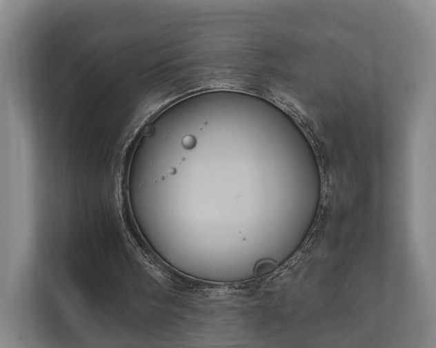 X0000112370098200908201510