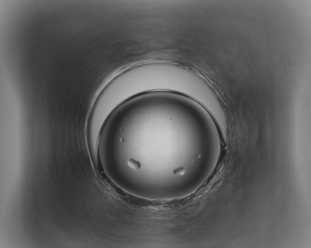 X0000112370100200908201510