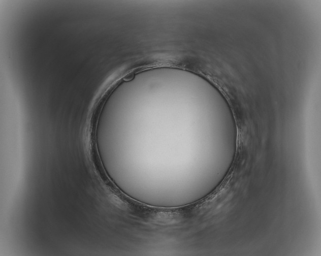 X0000112370101200908201510