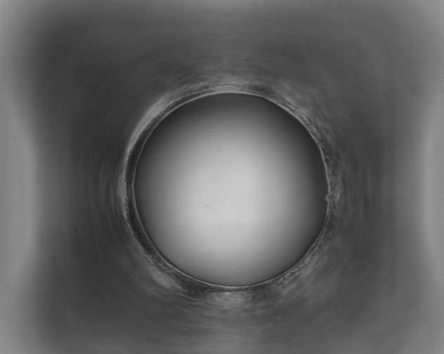 X0000112370102200908201510