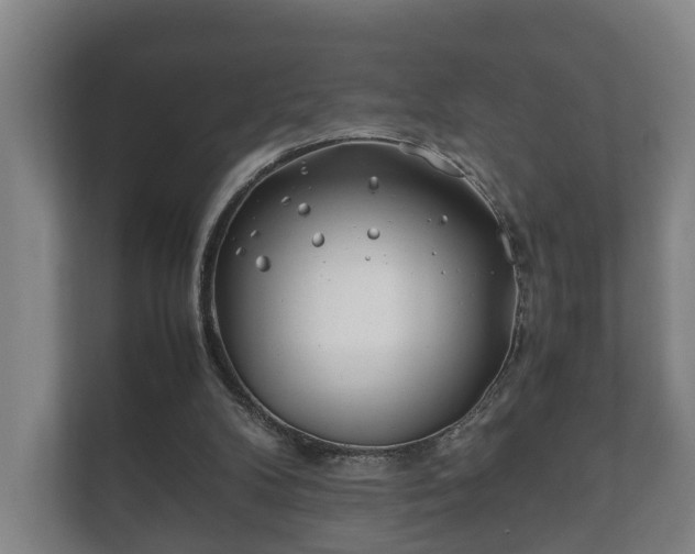 X0000112370104200908201510