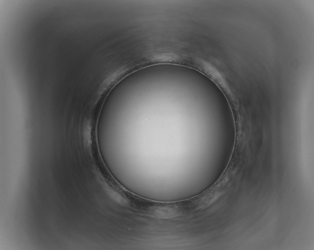 X0000112370106200908201510