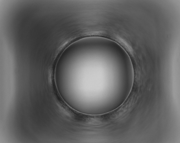 X0000112370107200908201510