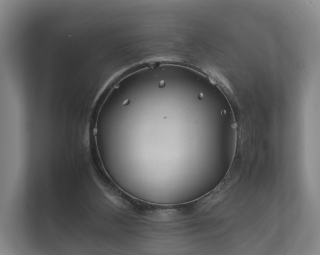 X0000112370108200908201510