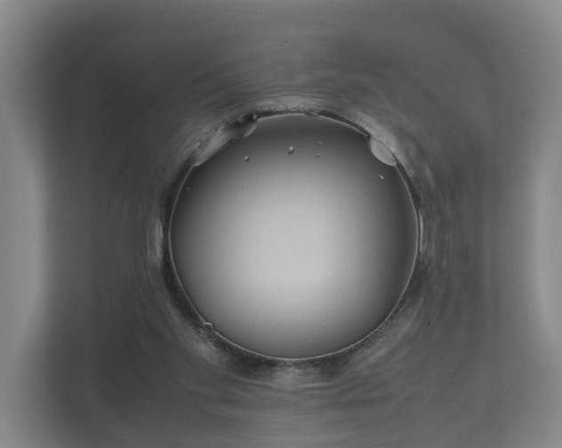 X0000112370109200908201510