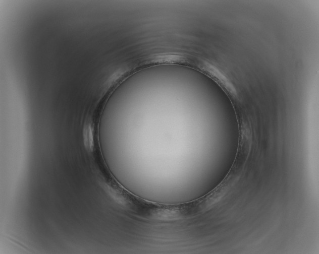 X0000112370110200908201510