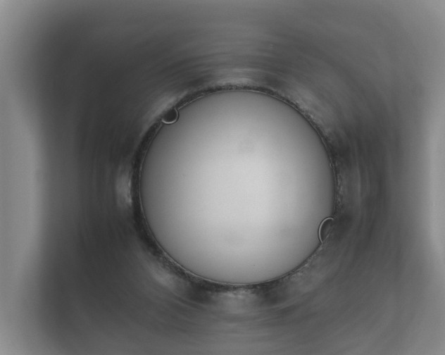 X0000112370112200908201510