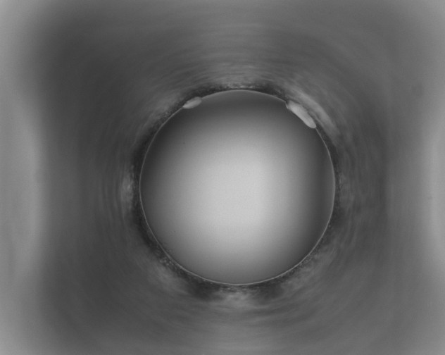 X0000112370113200908201510