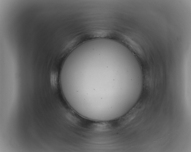 X0000112370118200908201510