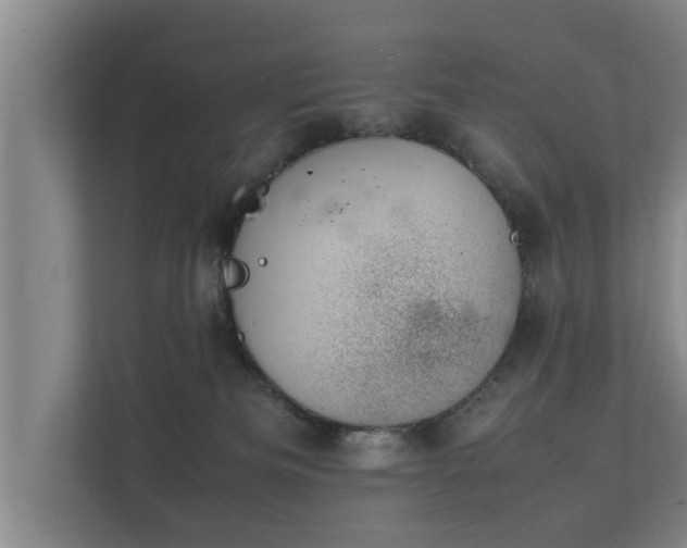 X0000112370133200908201510