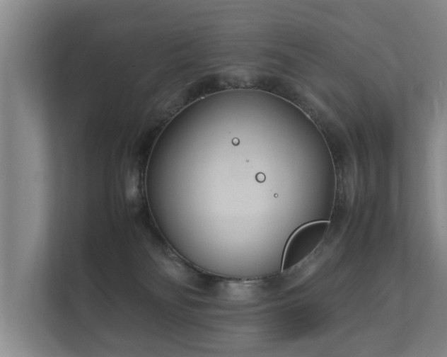 X0000112370134200908201510