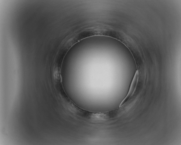 X0000112370137200908201510