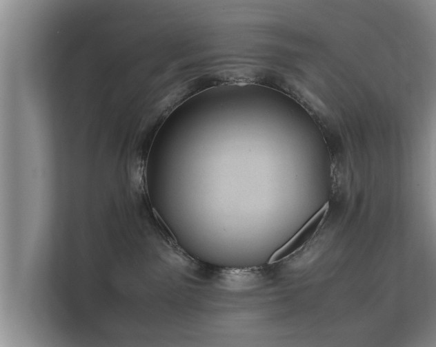 X0000112370141200908201509