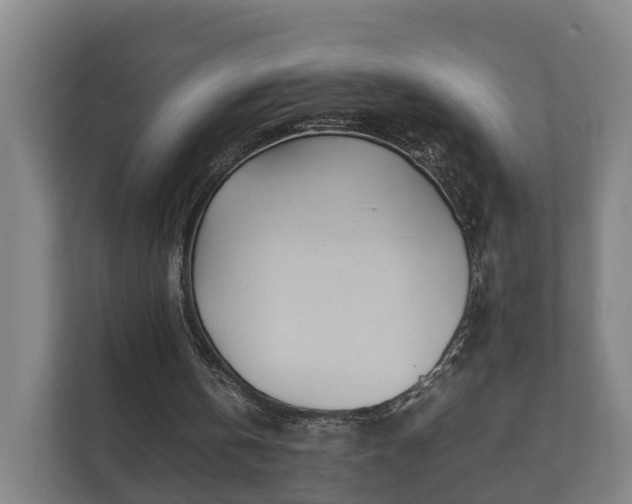 X0000112370146200908201509