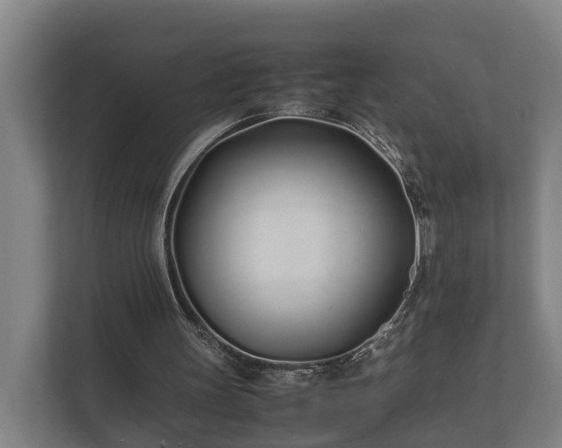 X0000112370147200908201509