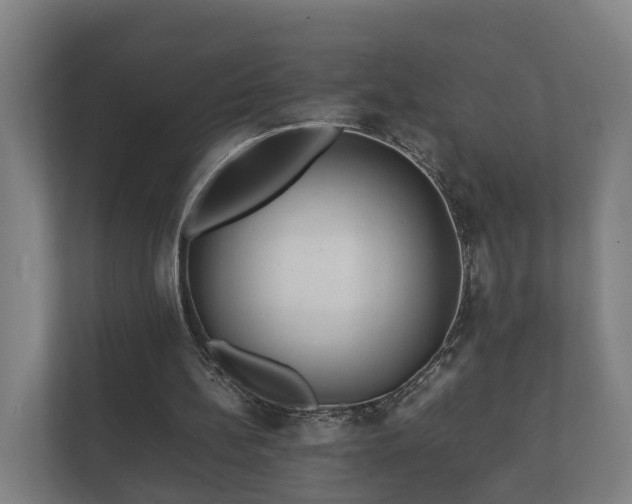 X0000112370148200908201509