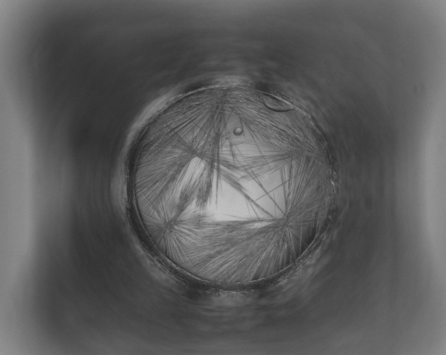 X0000112370149200908201509