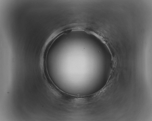 X0000112370150200908201509