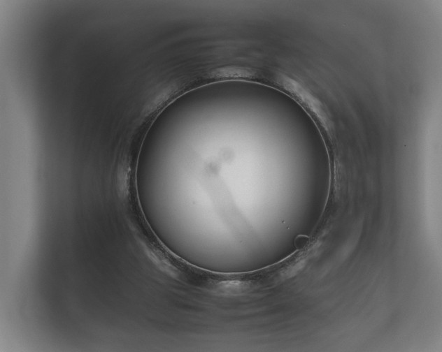 X0000112370153200908201509