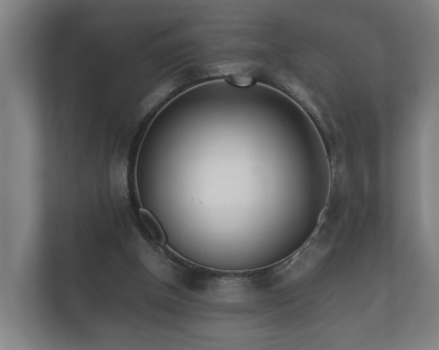 X0000112370154200908201509