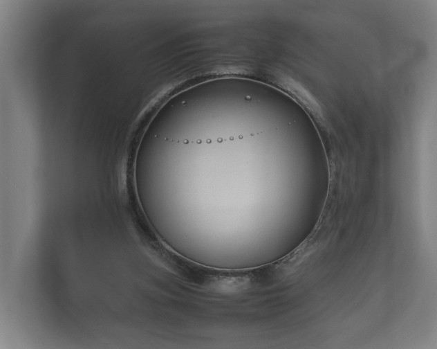 X0000112370155200908201509