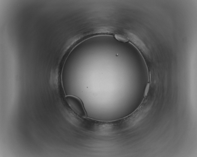 X0000112370156200908201509