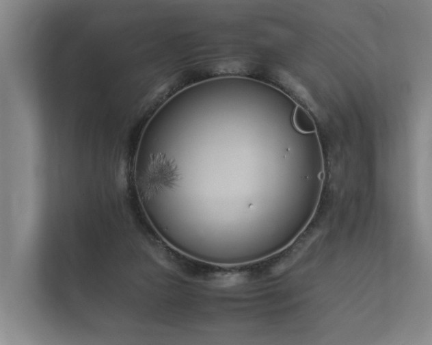 X0000112370161200908201509