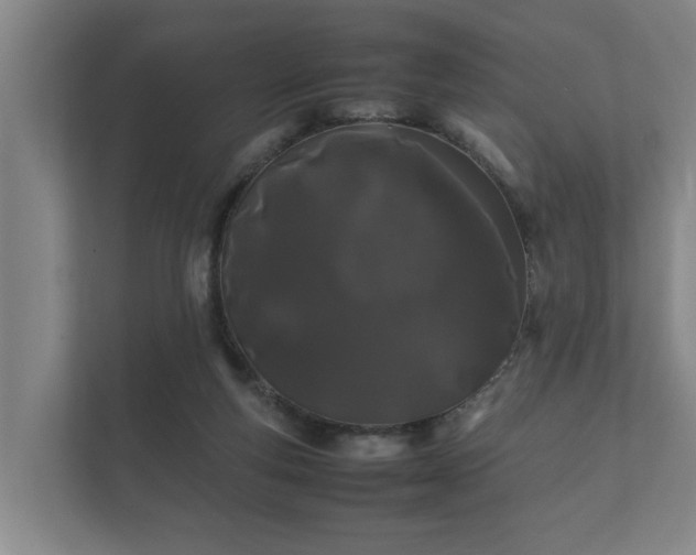 X0000112370163200908201509