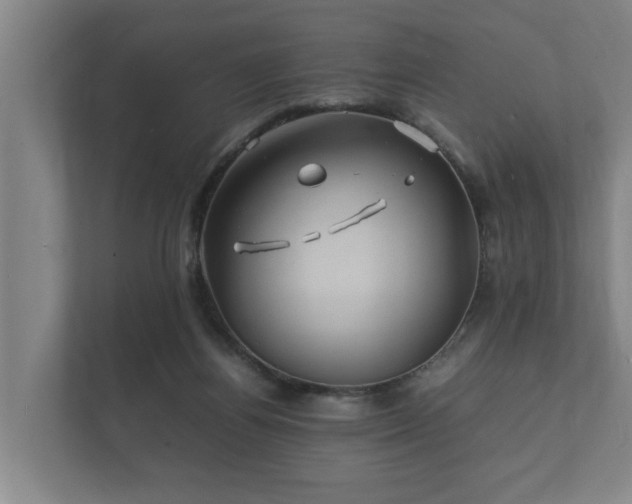 X0000112370164200908201509