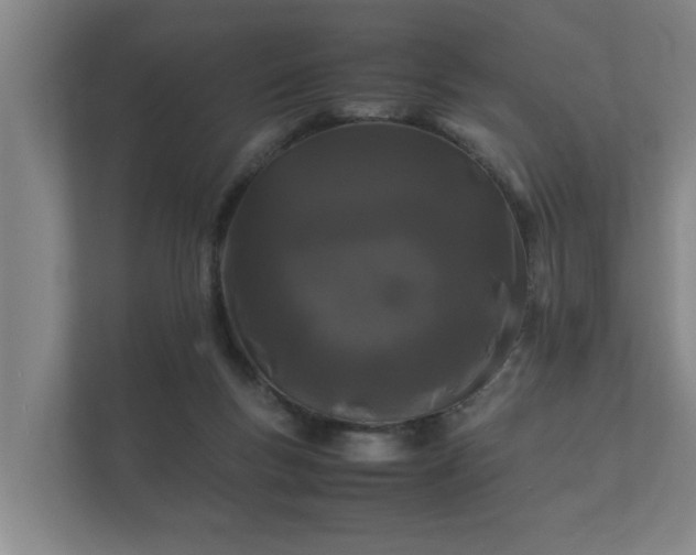 X0000112370167200908201509