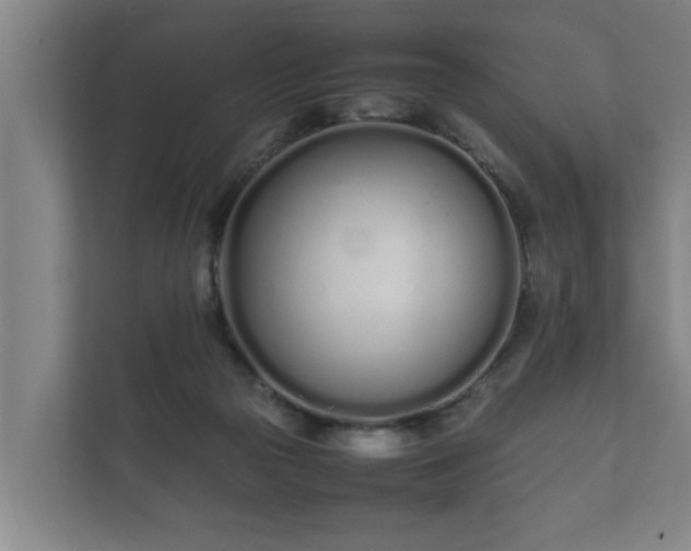 X0000112370169200908201509