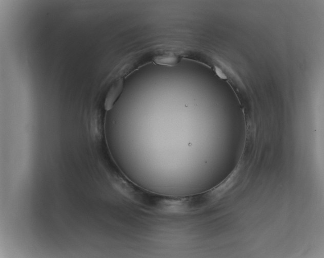 X0000112370170200908201509