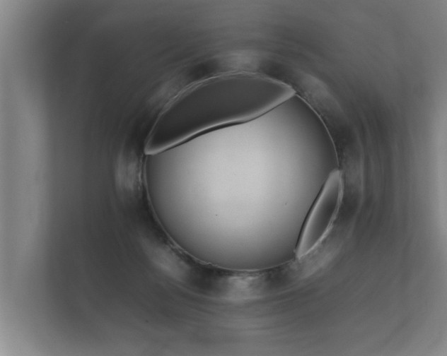 X0000112370172200908201509