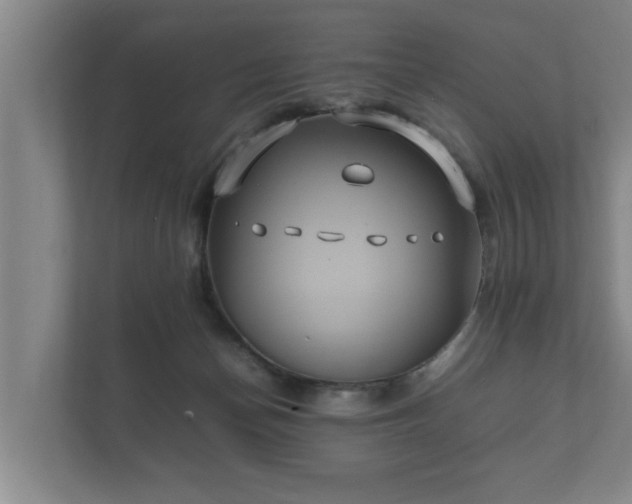 X0000112370174200908201509