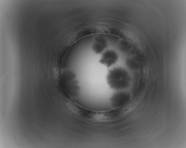 X0000112370177200908201509