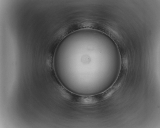 X0000112370181200908201509